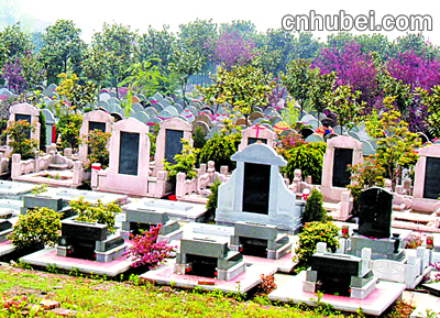 上海选墓地